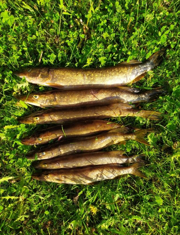 ���������� �� ������-����� ������ ������� �����