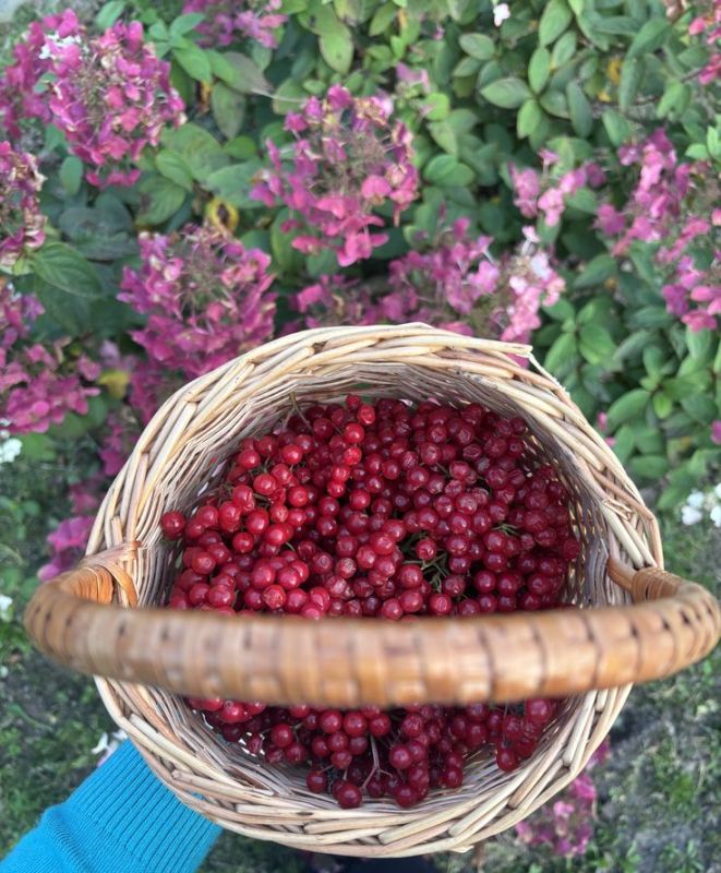 ����� ��� ��������: ����� �� ��� ������� ��� �� �������� ���� ������