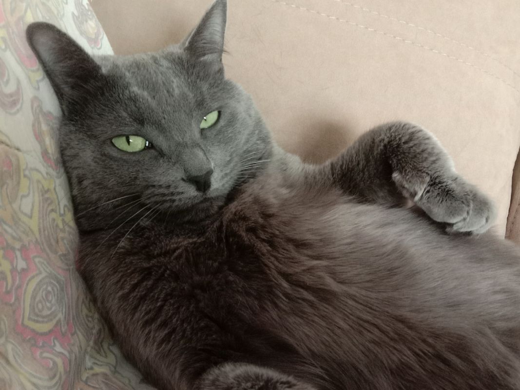 ���� ��� ����: ��� ����� ��� ����� �����?