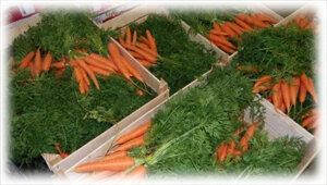 ��� ��������� ��������� ������� �� ����: ������ � ������������