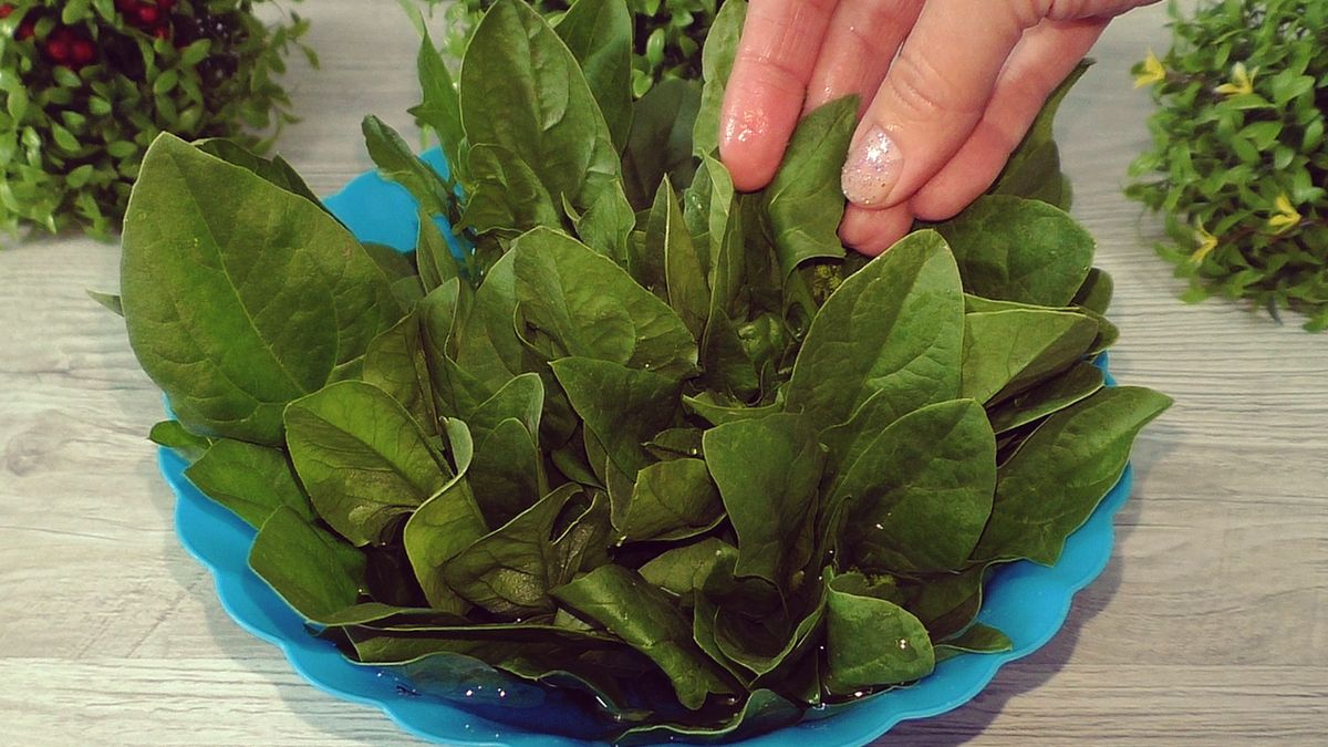 ������� �������� ��������: ������ � ������, ������� ���������� ����