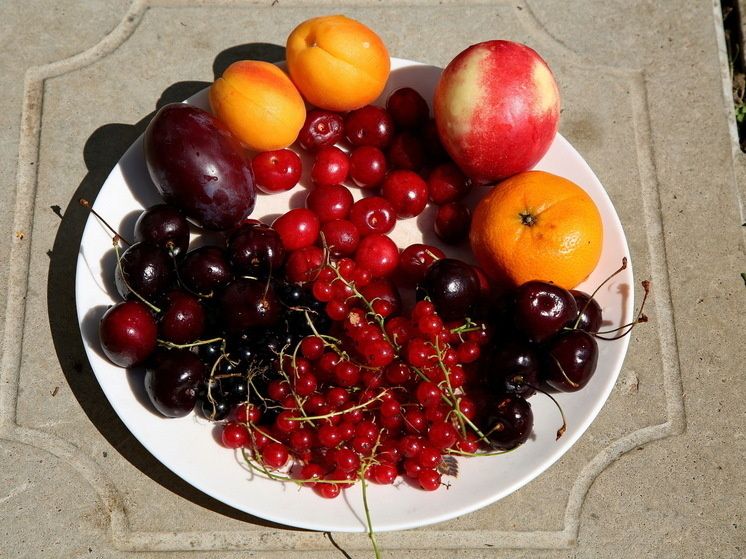 �������� ������: ��� ������� � ��������� �� �������� ��������