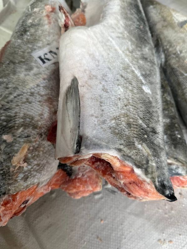 �����: ������������� ��������������� ���