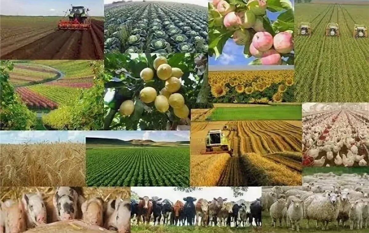 ������ �� ���� � ����������������� �������������