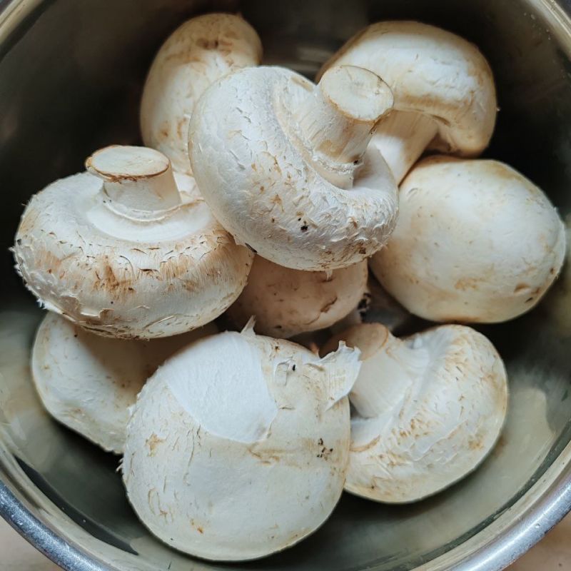 ������������� �����: ��������� ������� ��� ������ ������