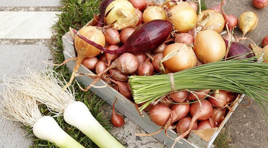 5 ������������ ����� ����, ������� ������� ���� ����