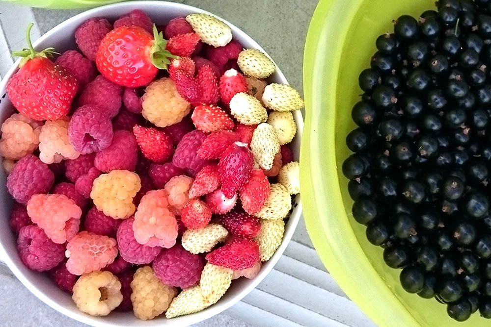 �������� �����: ������ � ������ �� ��������