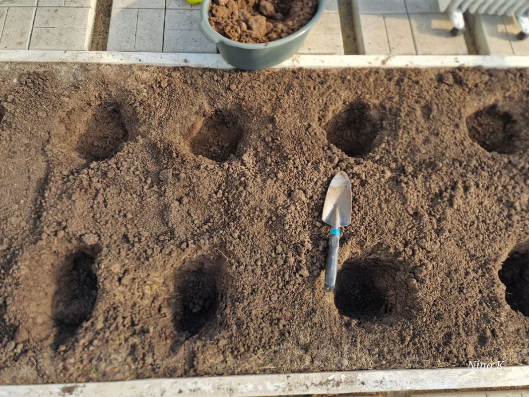 ��� �������� �������� ������ ���������: ������ �� ������� � �����