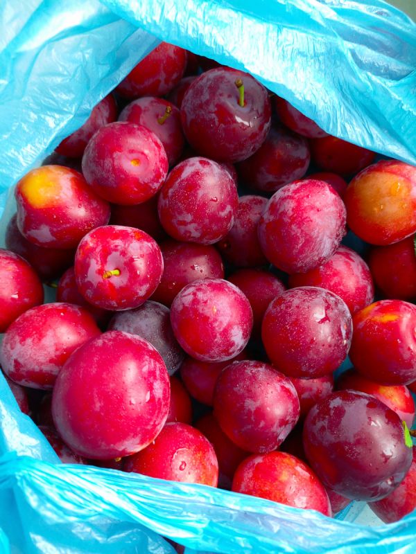 ��� ��������� ����� � �������: ������� � ������ � �������