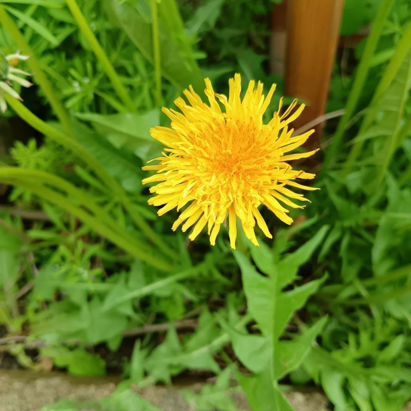 ���� �������: �������� ��� �� �����������, ������� ����� �����������