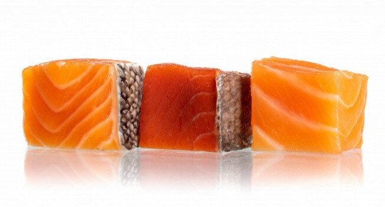 ������� ����