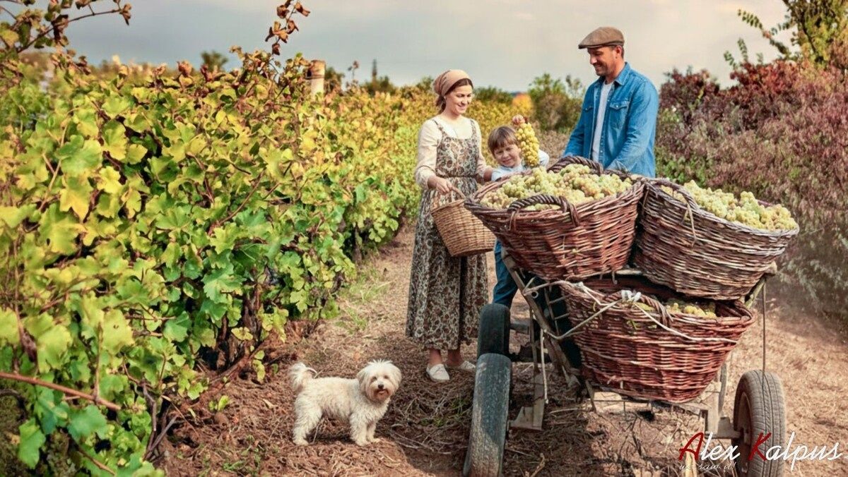 ���������� �����: ����������� �� �������� ��������