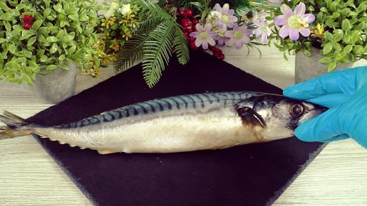 ��� ������ � ������ �������� �������� � �������� ��������