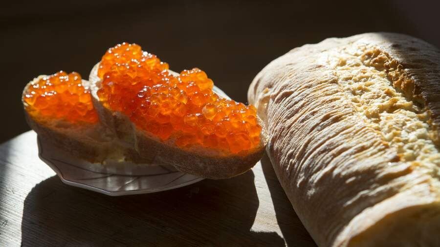 ���� �� ������� ���� ��������: ��� ������ ���������� ����������?