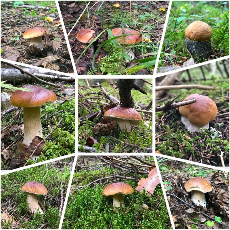 � ������� �������� ������: ��� ������� � ���������� ������ ����� ����