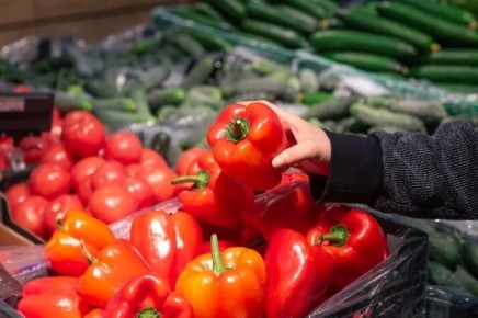 ��� ��������� ����� �� �����: ������ �� �����������