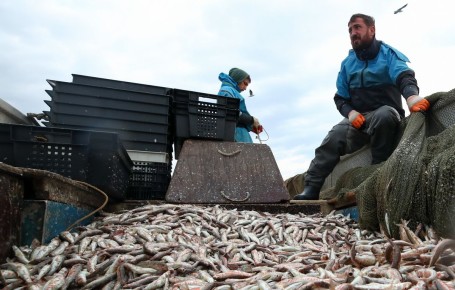 ������ ���������� ����� ������ ������ ������ ����������� � 2026 ����