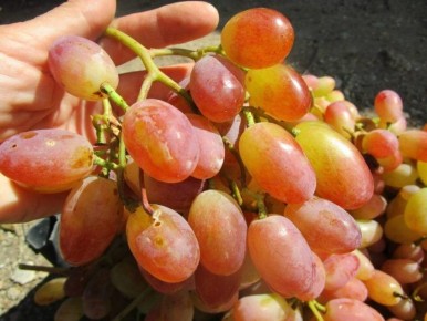 �������� ������: ��������� ���� � ������ � �������� �������� �������