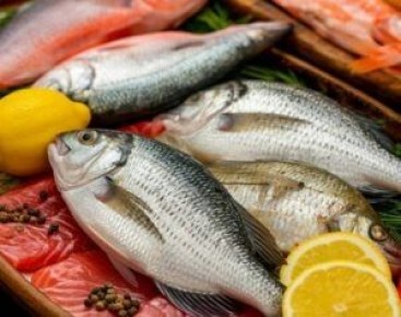 ������ ������� ������ ��� ������� ������ �������� ����