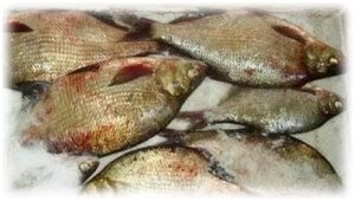 ������� ������� ������� ����: �������� ������