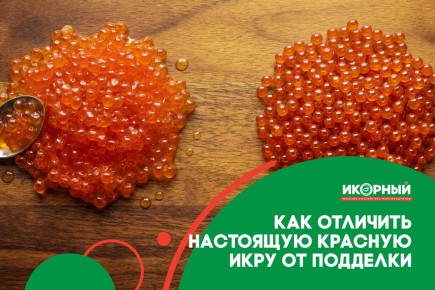 ��� ���������� ��������� ������� ����: ������ �� ���������