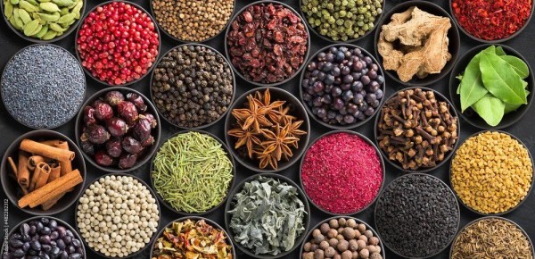 ������ � ������� �����: ��������� �������� ����� � ���������� ���������