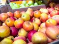 Как сохранить яблоки до весны: секреты правильного хранения