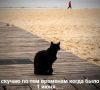 ���������� � ����: ��������������� ���� � ��������� ������